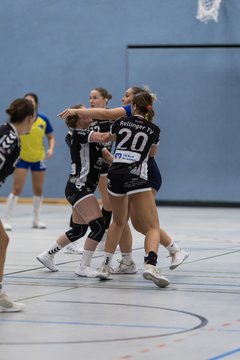 Bild 216 - F HSG Pinnau2 - Rellinger TV2 : Ergebnis: 27:20